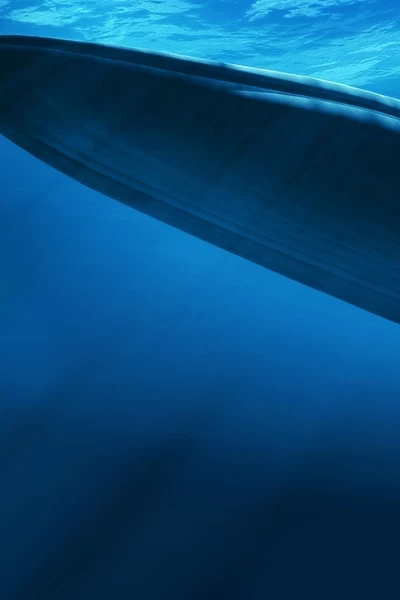 Ballenas. Ballenas: El reino de la ballena asesina