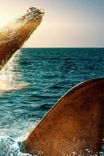 Ballenas. Ballenas: Tiburón contra ballena