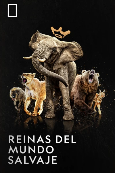 Reinas del mundo salvaje