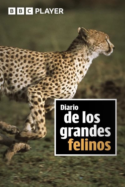 Diario de los grandes felinos
