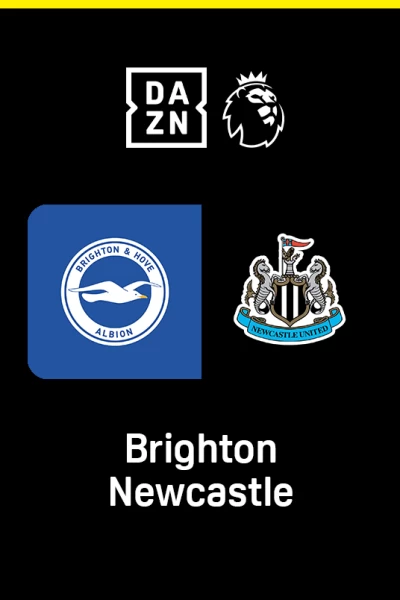 Jornada 8. Jornada 8: Brighton & Hove Albion - Newcastle