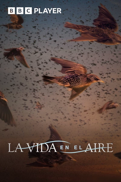 La vida en el aire