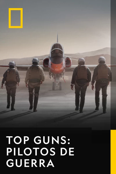 Top Guns: Pilotos de guerra