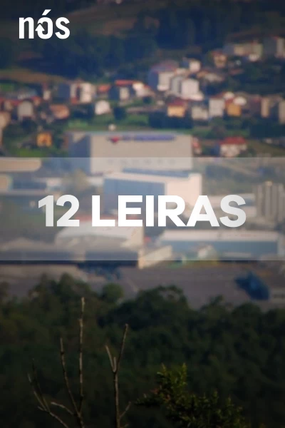 12 leiras