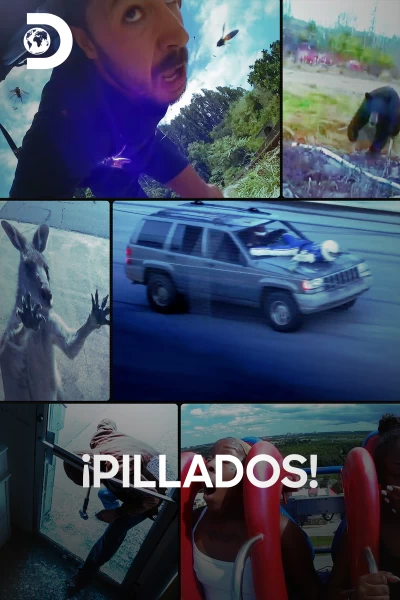 ¡Pillados!