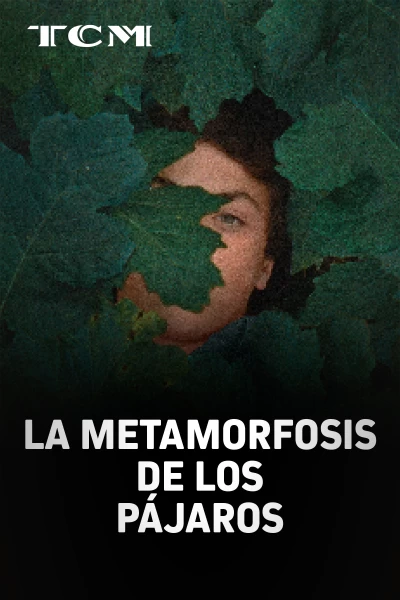 La metamorfosis de los pájaros