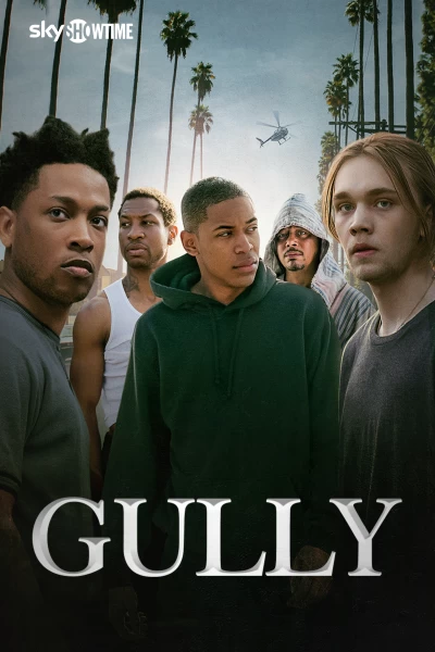 Gully