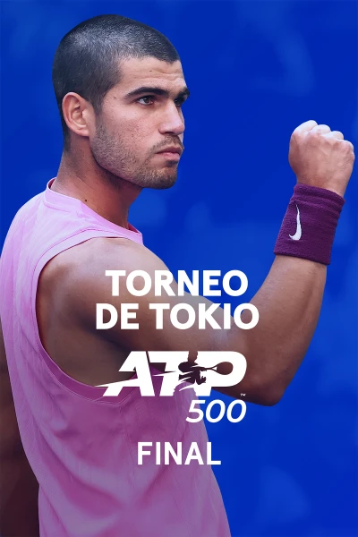 Final. Final: Alcaraz - Fritz