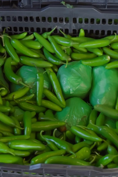 Control de aeropuertos: USA. Control de...: Meta Hot Chili Peppers