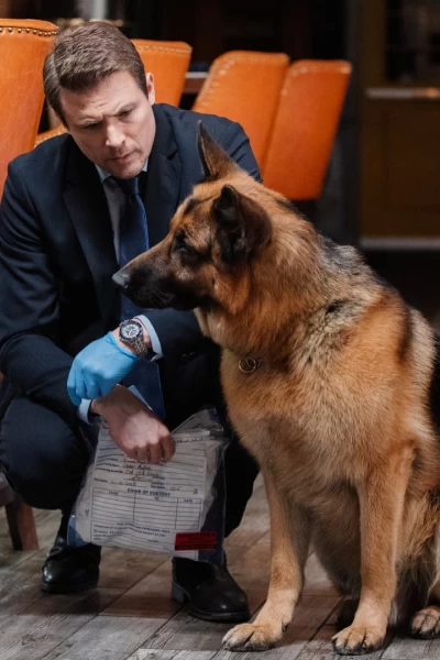 Hudson & Rex. T(T2). Hudson y Rex (T2): Ep.15 Perro Viejo, Trucos Nuevos