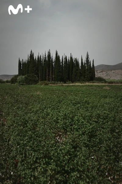 Crónica negra de la Antigua Grecia. Crónica negra de la...: Ep.5