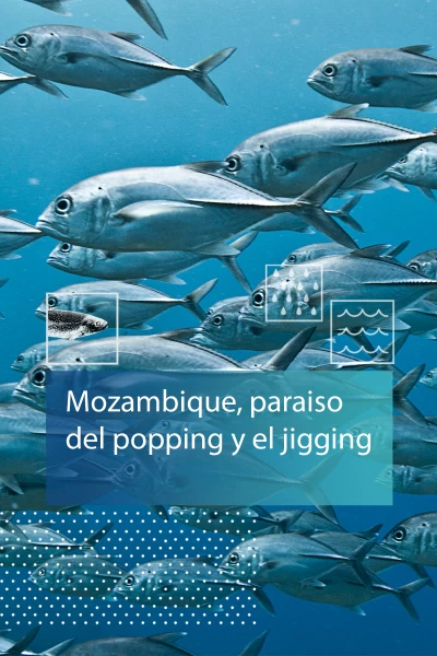 Mozambique paraiso del popping y el jigging