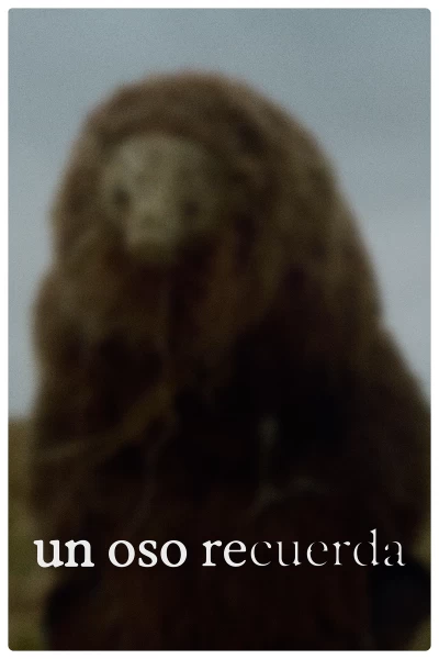 Un oso recuerda