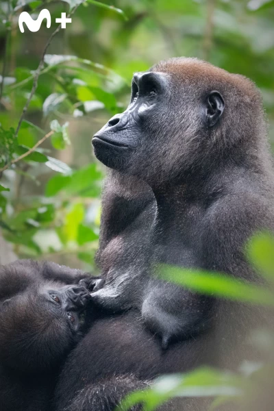 Cómo se hizo Parenthood. Cómo se hizo Parenthood: Ep.3