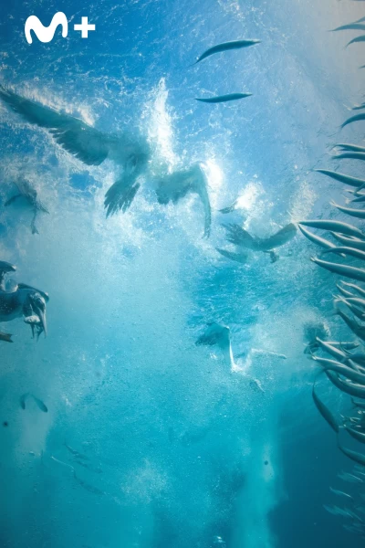 Cómo se hizo Parenthood. Cómo se hizo Parenthood: Ep.4