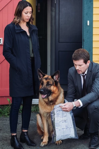 Hudson & Rex. T(T3). Hudson y Rex (T3): Ep.2 Caza al hombre