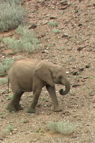 África. África: Desiertos