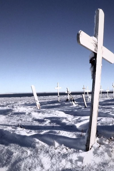 Alex Honnold: Historias de Deporte. Alex Honnold:...: Ascenso mortal en Yosemite