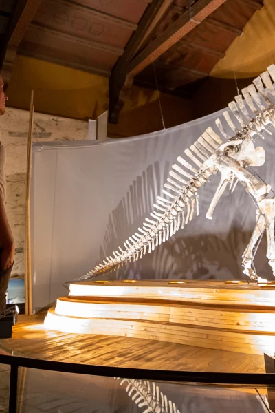 Dinosaurios. Dinosaurios: Reino Unido