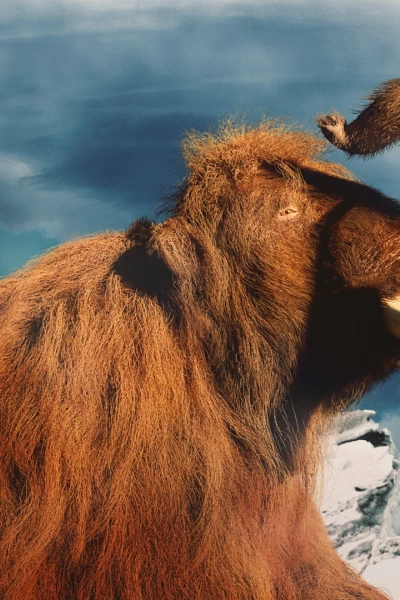 Dinosaurios. Dinosaurios: Desenterrar al mamut