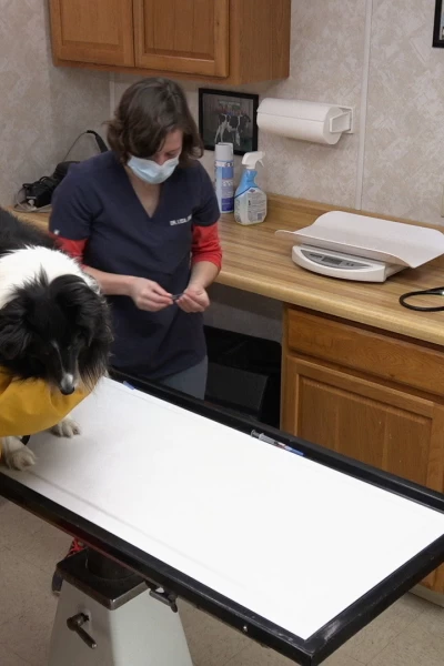 Doctor Pol. Doctor Pol: Misión Impatible