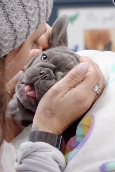 Doctor Pol. Doctor Pol: La situación se complica