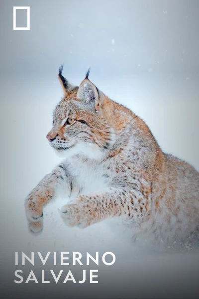 Invierno salvaje
