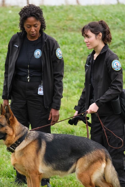 Hudson & Rex. T(T7). Hudson y Rex (T7): Ep.4 K9: La Nueva Generación Rex