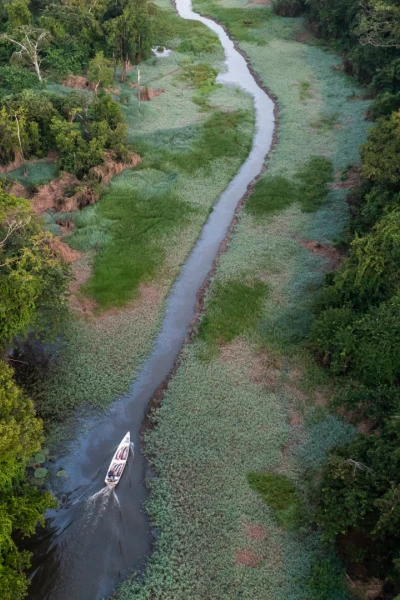 Amazonía. Amazonía: Expedición al amazonas