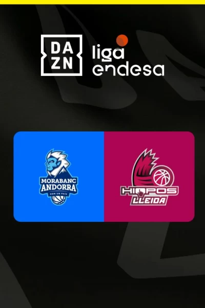 Jornada 13. Jornada 13: Andorra - Força Lleida