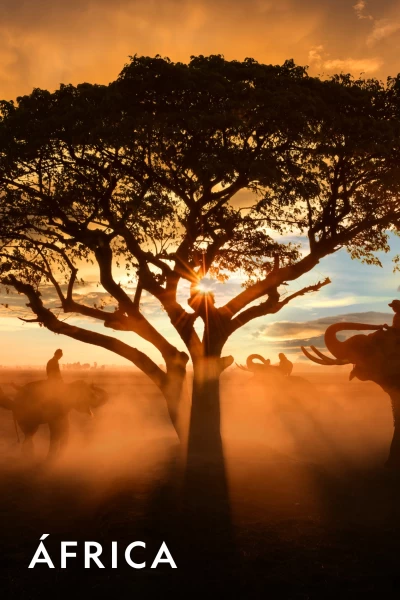 ÁFrica. ÁFrica: E: El pequeño gigante