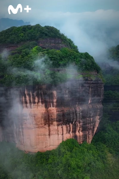 China Salvaje: Cantón