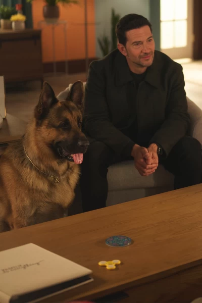 Hudson & Rex. T(T8). Hudson y Rex (T8): Ep.2 Testigo a la fuga