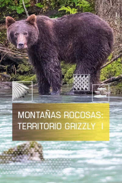 Montañas rocosas, territorio grizzly 1