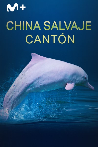 China Salvaje: Cantón