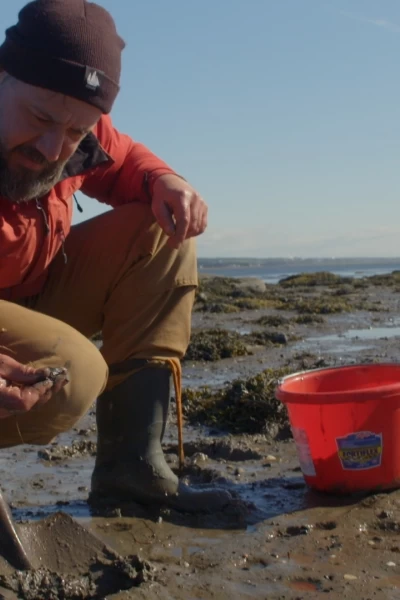 Desafío en los Northwoods. T(T2). Desafío en los... (T2): Muy por debajo de cero