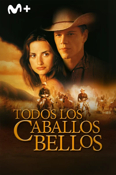 Todos los caballos bellos