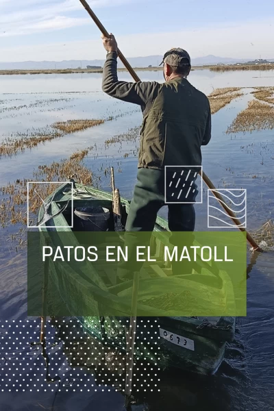 Patos en El Matoll