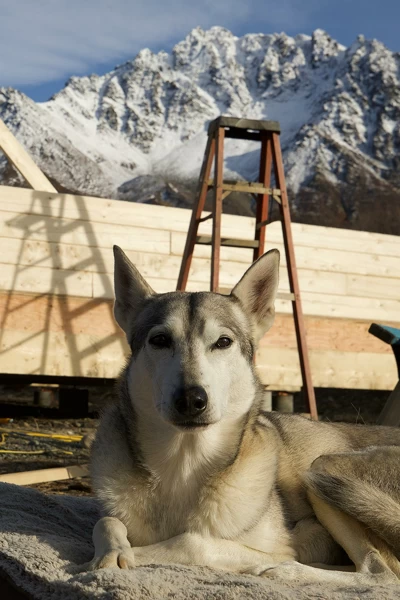 Construyendo Alaska. Construyendo Alaska: Una vida de percances