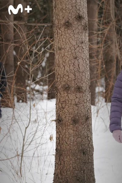 Doc. T(T2). Doc (T2): Ep.18 Orientación