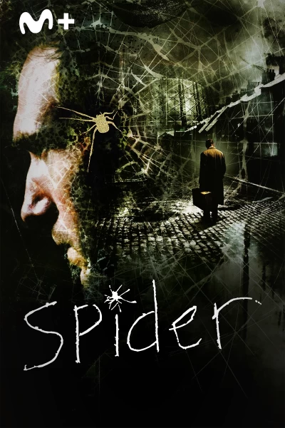 Spider
