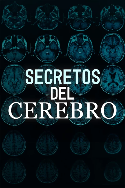 Secretos del cerebro
