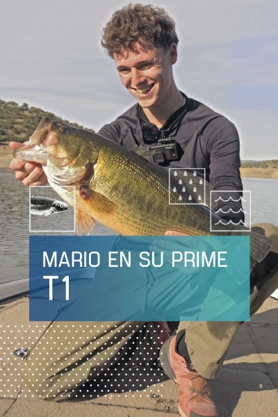 Mario en su prime