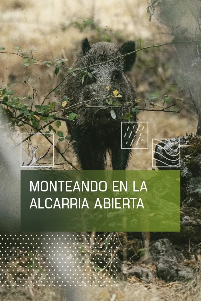 Monteando en La Alcarria abierta