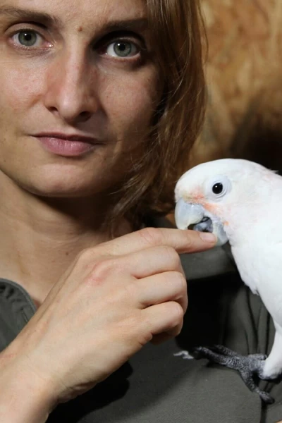 ¿Cómo lo hacen? Mundo animal. ¿Cómo lo hacen?...: Rabos de cachorritos y mandíbulas de cocodrilo