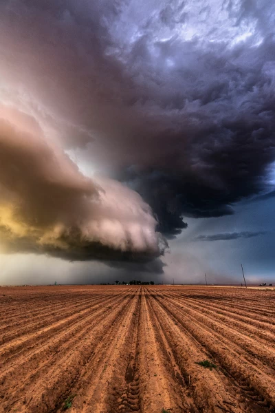En el ojo de la tormenta. En el ojo de la tormenta: Desastre de derecho Texano
