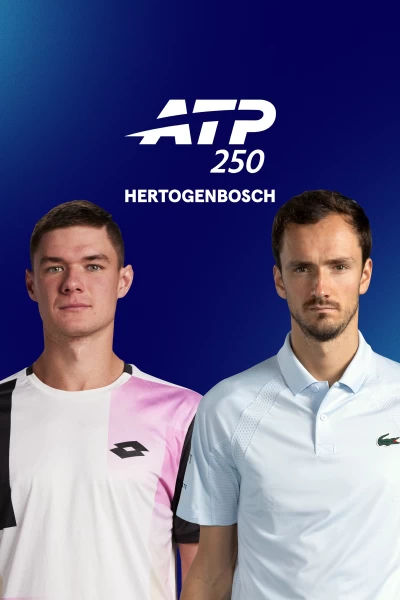 Semifinales. Semifinales: Majchrzak - Medvedev