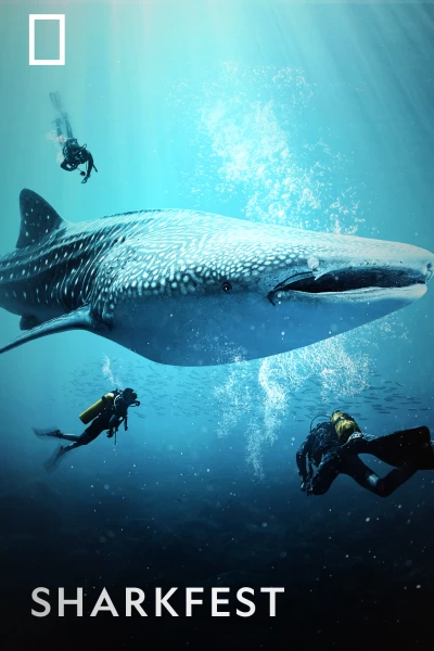 Sharkfest