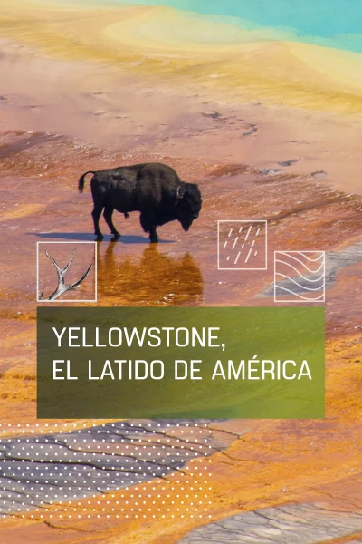 Yellowstone I. El latido de América