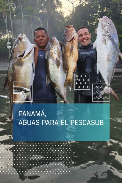 Panamá, aguas para el pescasub